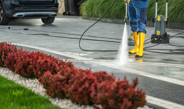 Best Driveway Pressure Washing  in San Diego Country Estates, CA